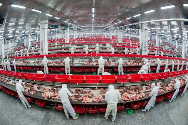 让吃肉更放心！金锣用AI和溯源守护你的每一口美味